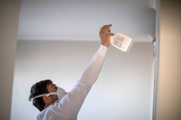 Crawl Space Mold Removal in Northbrook, IL
