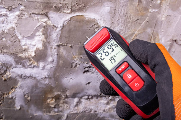 Best Residential Mold Removal  in Northbrook, IL